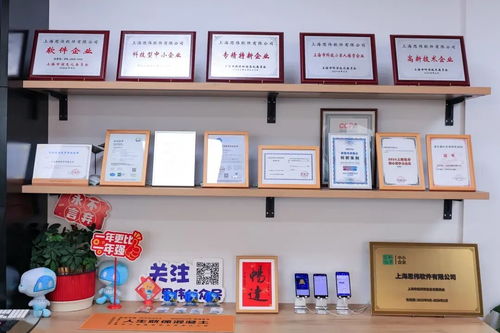 創(chuàng)新發(fā)展看楊浦 思偉軟件深耕工業(yè)軟件，讓每方混凝土都閃耀科技之光