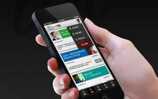 明星天價(jià)出場(chǎng)費(fèi)與軟件開發(fā)的跨界思考